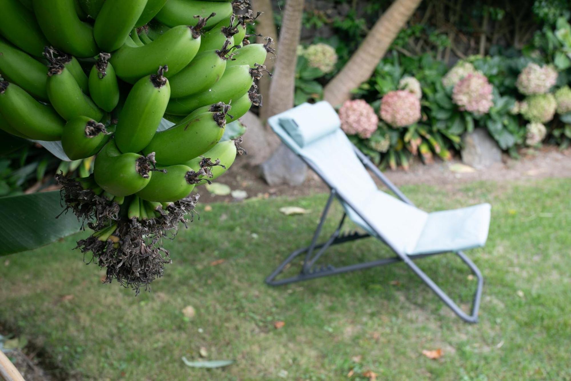 Maria'S Haven Villa Santo Antonio  Ngoại thất bức ảnh